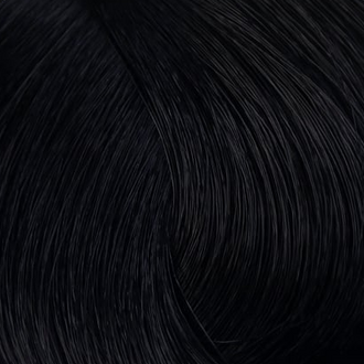 Стойкая профессиональная краска для волос - Goldwell Topchic Hair Color Coloration 2A (Иссиня-черный)